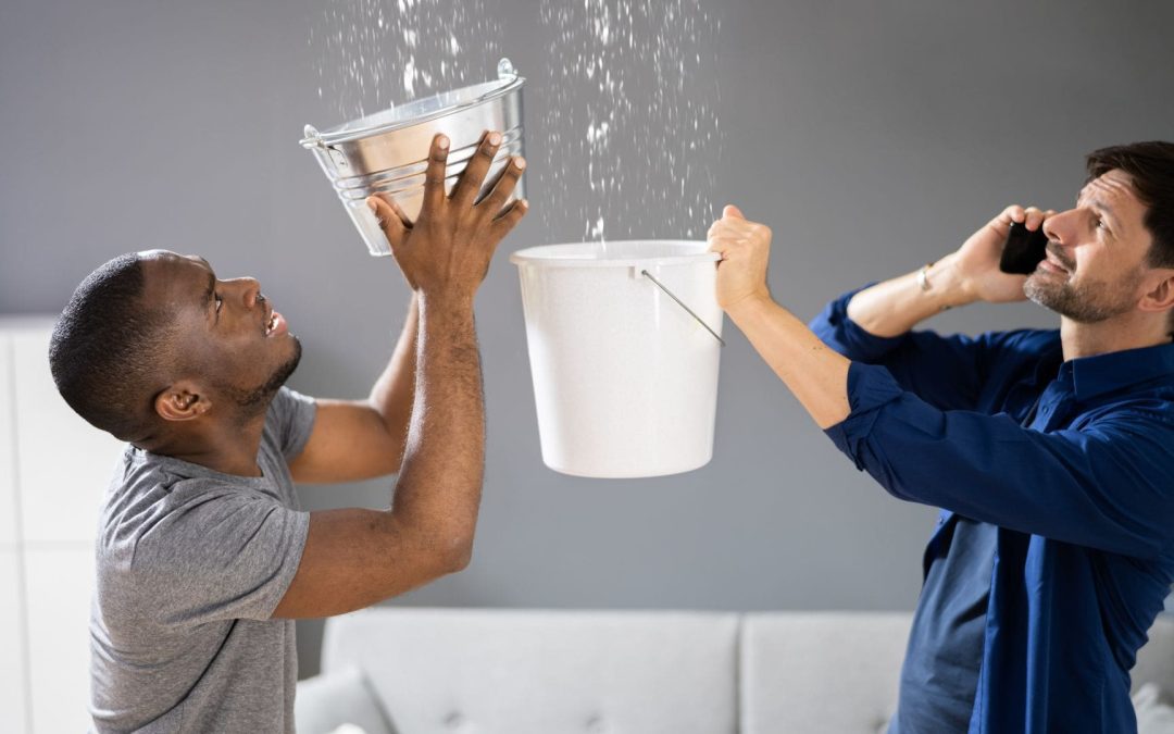 The Importance of Regular Roof Maintenance: Preventing Leaks Before They Occur